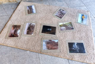 Einblick in die Ausstellung "Situationen ändern sich!"