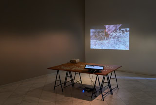 Ein Moment aus der Videoinstallation "Standpunkte"