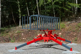 Die Skulptur "Das Tier"